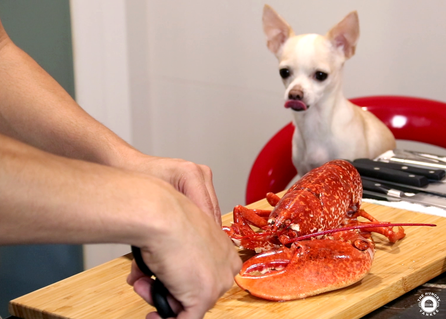 Mimi loves Lobster Mac & Cheese